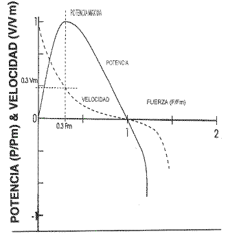 Relaci�n Fuerza-Velocidad