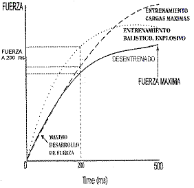 Relaci�n Fuerza-Tiempo