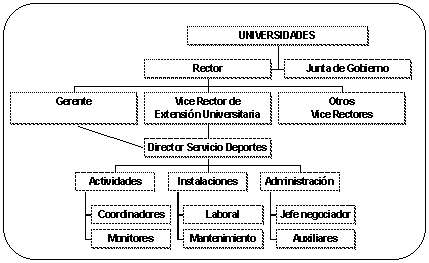 Situación general de los servicios deportivos<BR>
en las universidades españolas