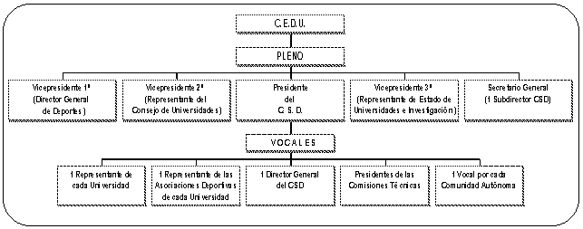 Organigrama del C.E.D.U.