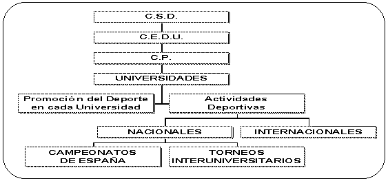 Subvenciones del C.S.D. al Deporte Universitario