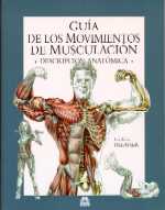 Gu�a de los movimientos de musculaci�n. Descripci�n anat�mica.