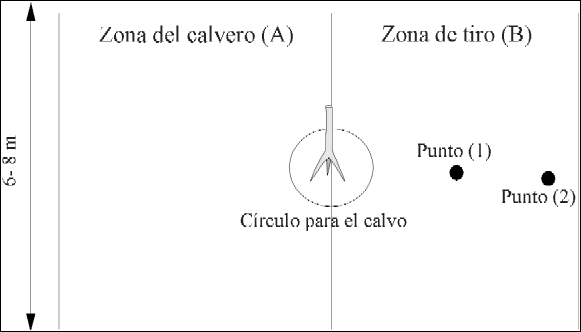 Figura 2