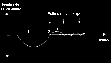 Figura 3