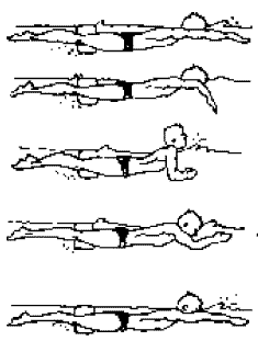 Resultado de imagen de posicion del cuerpo en braza