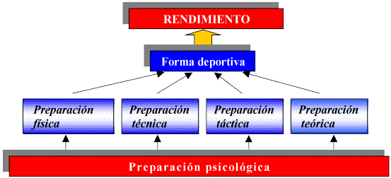 Que Es La Preparacion Tecnica Y Tactica