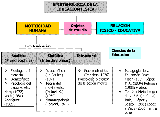 Cuales Son Los Aspectos Teoricos De La Educacion Fisica