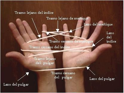 Henton blog: nombre de los dedos