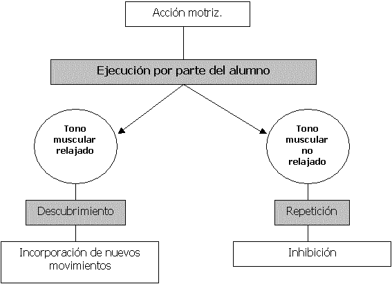 La Educacion Fisica Y El Deporte Ambitos De Intervencion