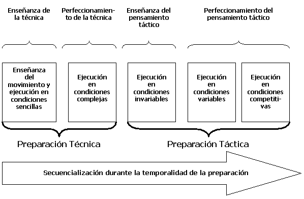 Modelo bifásico de planificación del entrenamiento deportivo