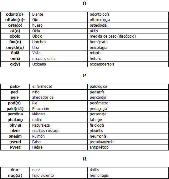 Etimología de las Palabras