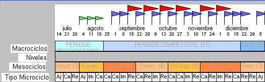 Periodización del entrenamiento del futbolista II