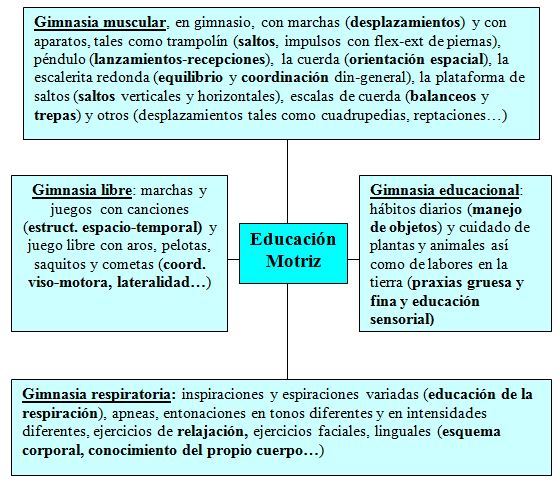 La Educacion Fisica En El Metodo Montessori Original