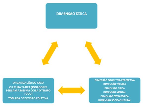 Curso Online de Futebol: Evolução, Tática e Estratégia