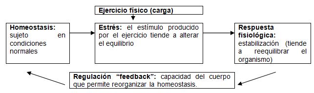 Utilización de la tecnología GPS en el proceso y periodización de  entrenamiento en fútbol - Fisiología del Ejercicio