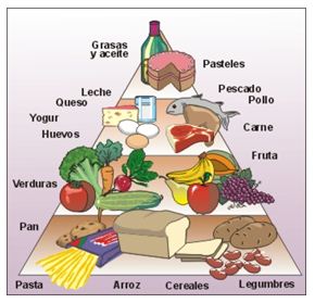 apaciguar Cortar Brutal Una alimentación saludable para un buen desarrollo en la infancia