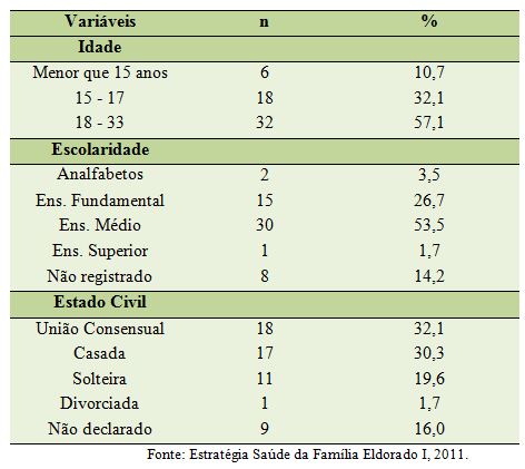 Perfil socioeconômico das gestantes atendidas no serviço de pré-natal da  Estratégia Saúde da Família no município de Montes Claros, MG