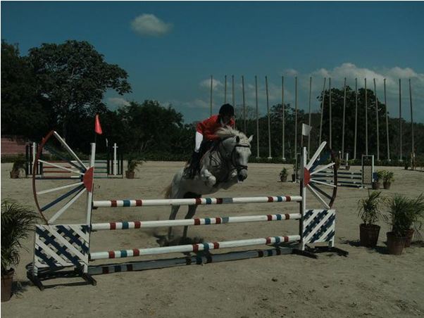 Fotos de Barras de obstáculos para el evento de salto de caballo