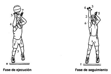 Concentración y rutina en el lanzamiento del tiro libre en baloncesto