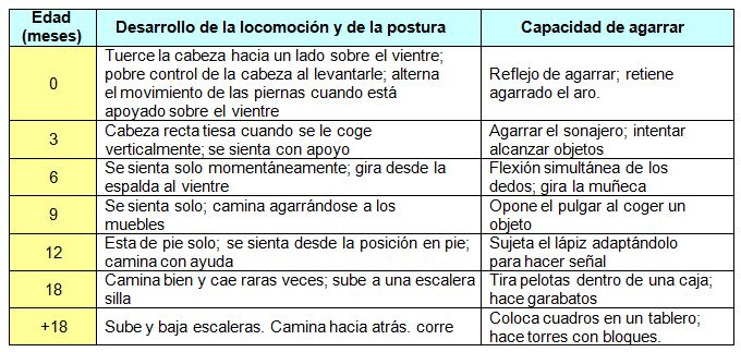 Desarrollo físico de los bebés de 2 a 3 años