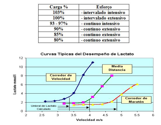 Exercício aeróbico ou anaeróbico: qual o melhor?