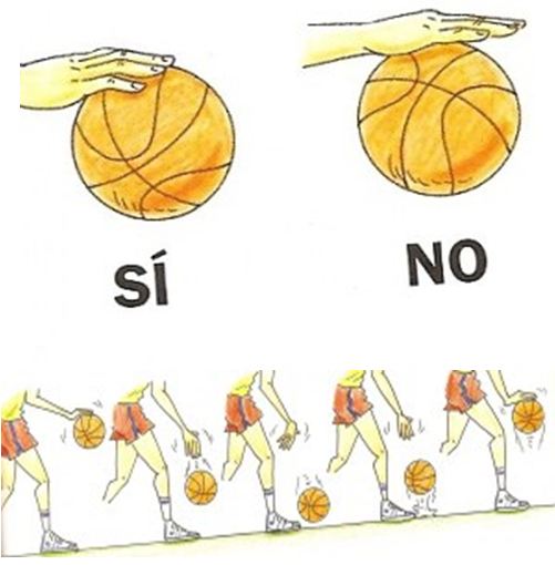 Descubrir 94+ imagen formas de botar el balon de basquetbol