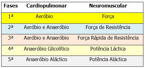 EvoluÃ§Ã£o E HistÃ³ria Do Voleibol  Voleibol, Volei, Atividades de  educação física