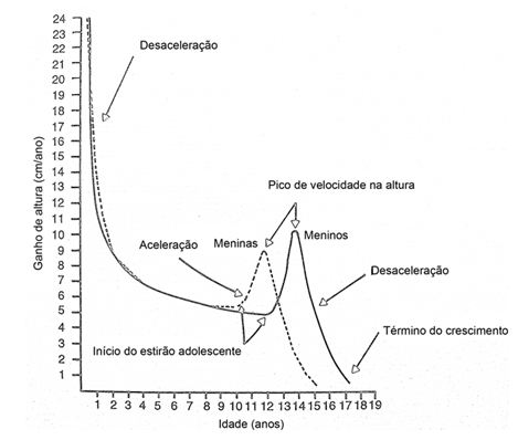 Comprimento meninas 2 a 5 anos