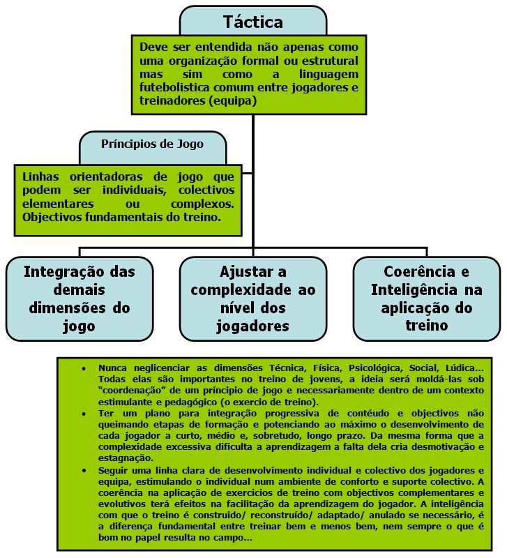 Entender sobre futebol  Qual é a melhor forma de estudar o jogo?