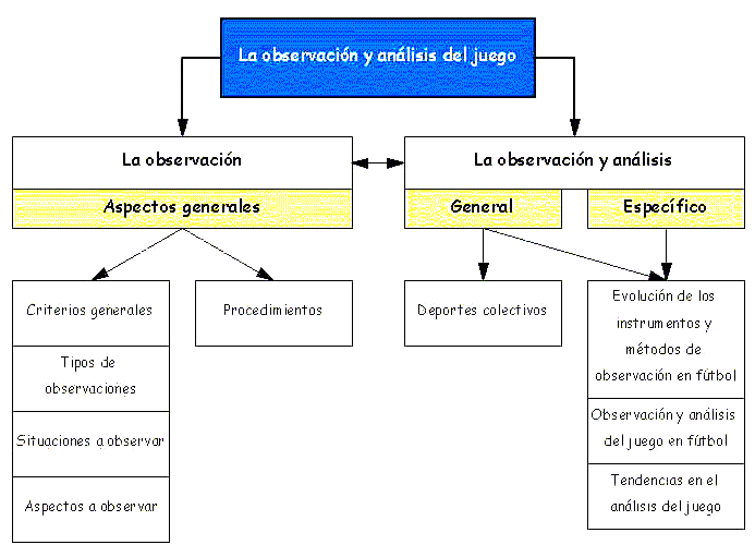 Observacin y anlisis del juego