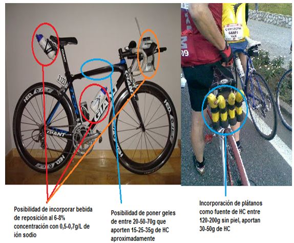 en términos de Caligrafía televisor El Ironman: estrategias dietético-nutricionales y organización de la toma  de alimentos y bebidas en los avituallamientos