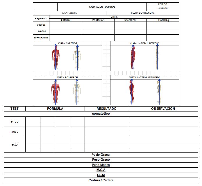 Alegaciones celebracion archivo Entrenamiento personalizado: estructura de entrenamiento