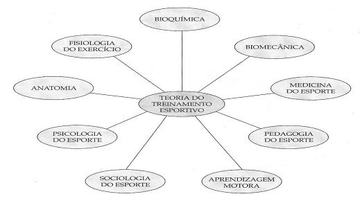 Personal Trainer: Entenda o conceito, o que ele faz e por que contratar um  para você – Studio Medina Plus