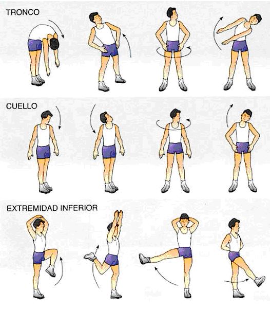 15 ejercicios de estiramiento de espalda y cuello