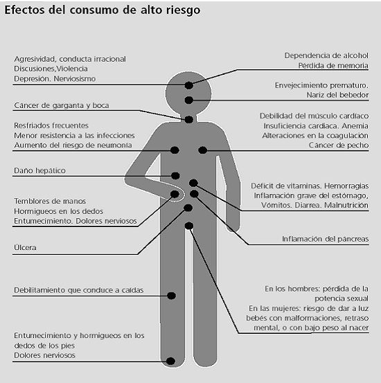 Reducir la tasa de alcoholemia, ¿se puede?