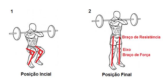 Biomecânica do agachamento: saiba tudo sobre!