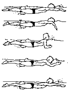 Iniciación a la técnica en los estilos en natación. Estilo Braza