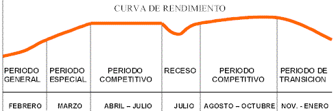 Curva перевод