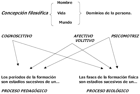 Ejercicios de Fútbol Base / edad 8 a 11 años