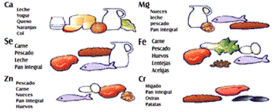 Clasificacion de los minerales en nutricion