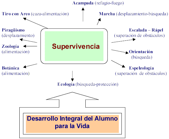 Resultado de imagen para metodo de supervivencia mapa conceptual