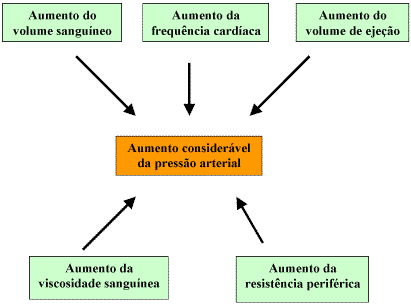 o que e disfunção erétil