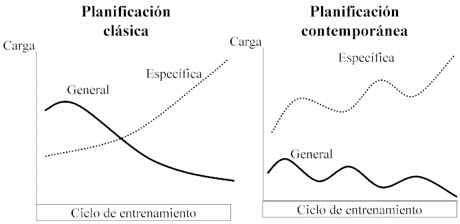 Modelos de planificación según el deportista y el deporte