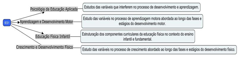 Figura 1. O foco das Disciplinas IES 1