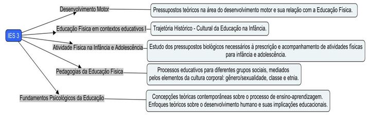 Figura 3. O foco das Disciplinas IES 3