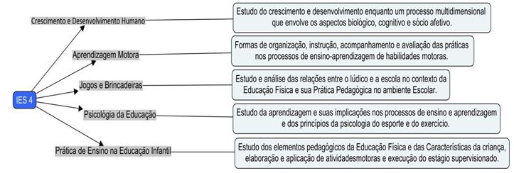 Figura 4. O foco das Disciplinas IES 4