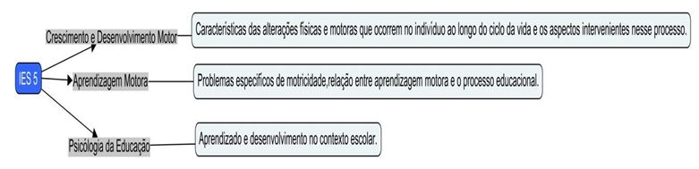 Figura 5. O foco das Disciplinas IES 5