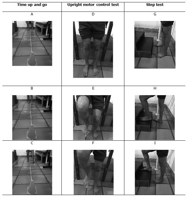 Table 2. Functional Tests Applied