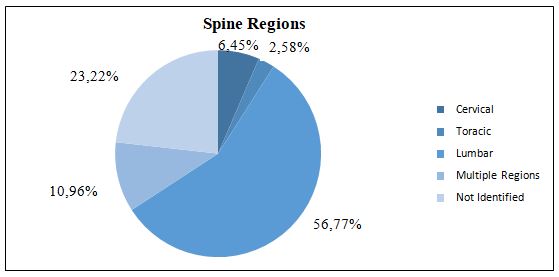 Graph 1. Most affected regions of the Vertebral Column of the patients attended at the ISB-UFAM Physical Therapy School, Coari-Am, 2015