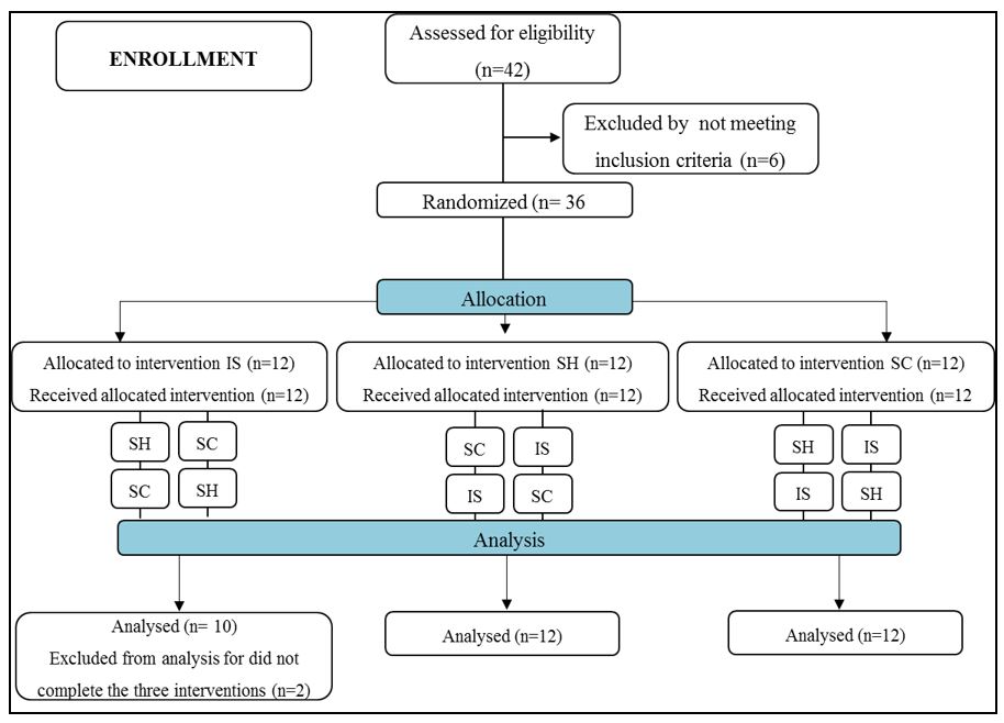 Figure 1. Study flowchart